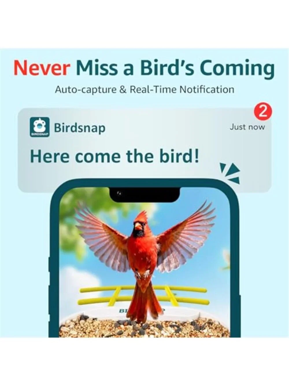 New TUC Bird Feeder with Camera 2K HD Live with 32GB Card Auto Detect